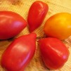 быстрые малосольные помидоры - основной компонент
